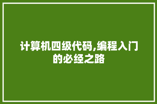计算机四级代码,编程入门的必经之路