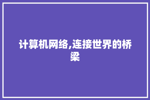 计算机网络,连接世界的桥梁 计算机网络,连接世界的桥梁 网站建设公司