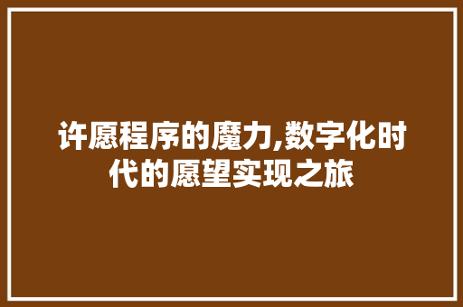 许愿程序的魔力,数字化时代的愿望实现之旅 许愿程序的魔力,数字化时代的愿望实现之旅 网站建设公司