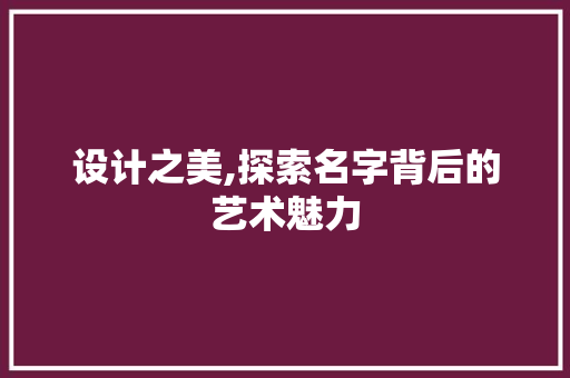 设计之美,探索名字背后的艺术魅力
