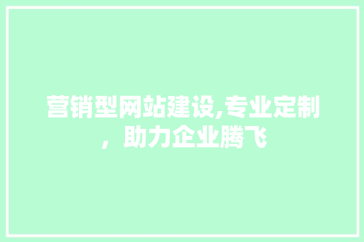 营销型网站建设,专业定制，助力企业腾飞