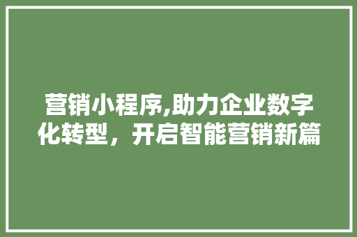 营销小程序,助力企业数字化转型，开启智能营销新篇章