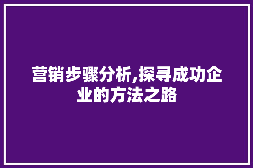 营销步骤分析,探寻成功企业的方法之路