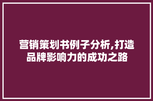 营销策划书例子分析,打造品牌影响力的成功之路