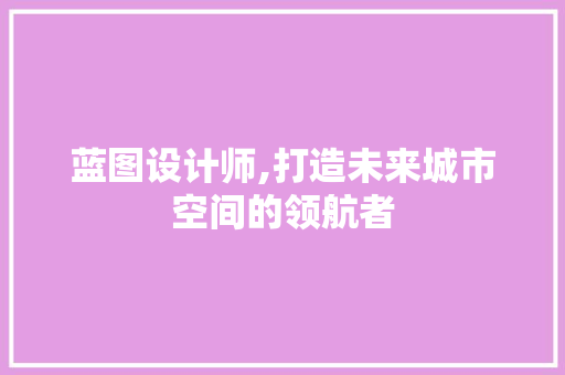 蓝图设计师,打造未来城市空间的领航者