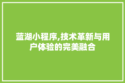 蓝湖小程序,技术革新与用户体验的完美融合