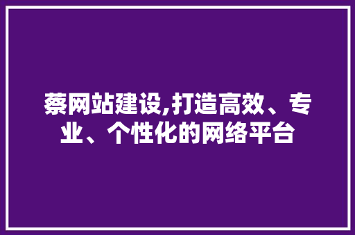 蔡网站建设,打造高效、专业、个性化的网络平台