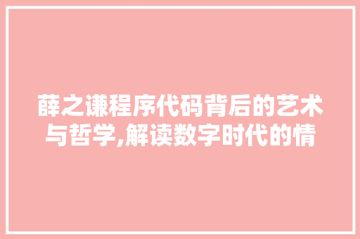 薛之谦程序代码背后的艺术与哲学,解读数字时代的情感表达