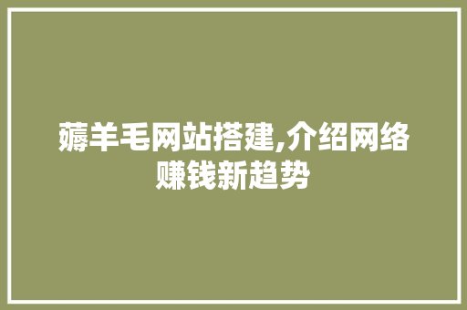 薅羊毛网站搭建,介绍网络赚钱新趋势