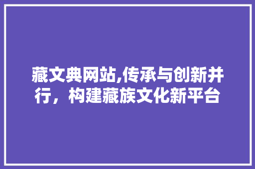 藏文典网站,传承与创新并行，构建藏族文化新平台