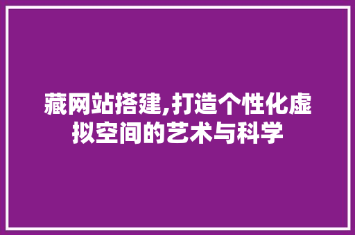藏网站搭建,打造个性化虚拟空间的艺术与科学