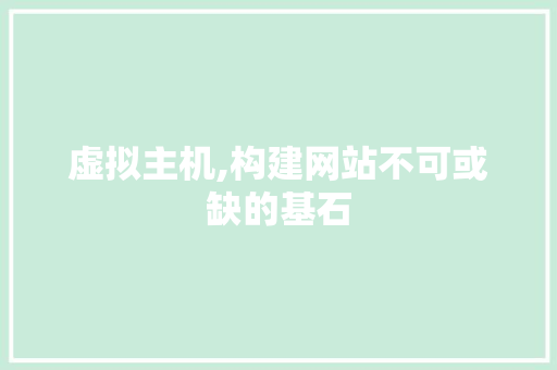 虚拟主机,构建网站不可或缺的基石
