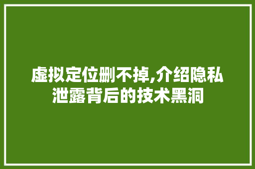 虚拟定位删不掉,介绍隐私泄露背后的技术黑洞