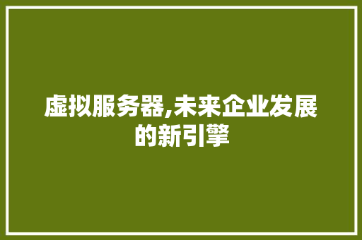 虚拟服务器,未来企业发展的新引擎