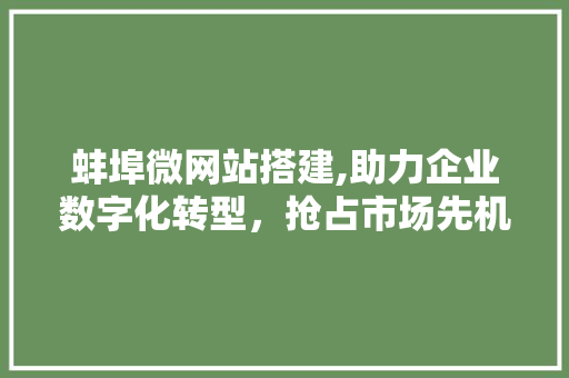 蚌埠微网站搭建,助力企业数字化转型，抢占市场先机