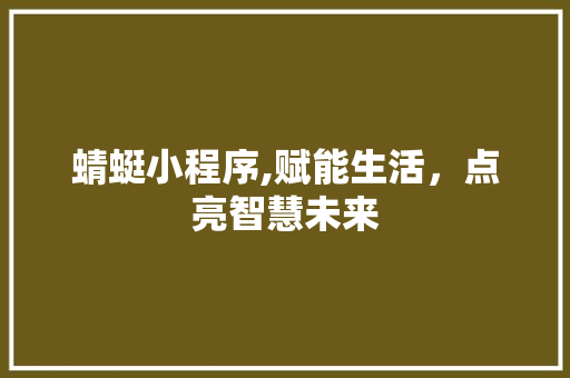 蜻蜓小程序,赋能生活，点亮智慧未来