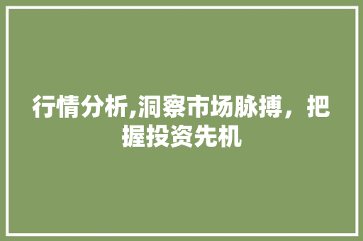 行情分析,洞察市场脉搏，把握投资先机