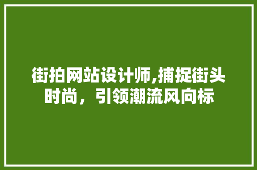 街拍网站设计师,捕捉街头时尚，引领潮流风向标