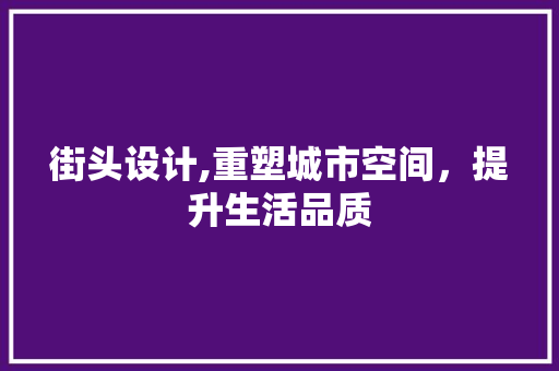 街头设计,重塑城市空间，提升生活品质
