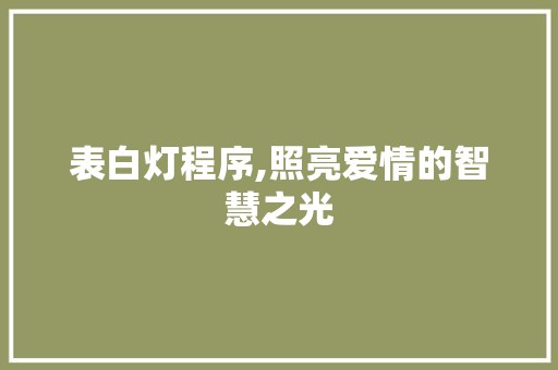 表白灯程序,照亮爱情的智慧之光