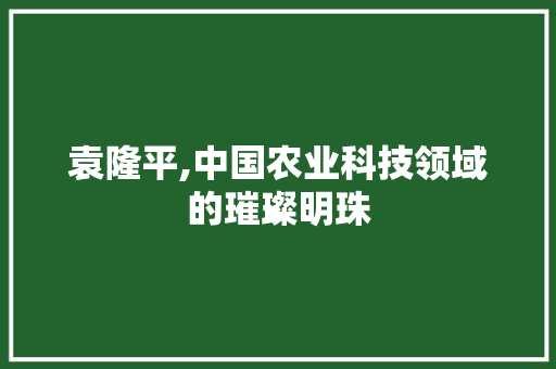 袁隆平,中国农业科技领域的璀璨明珠