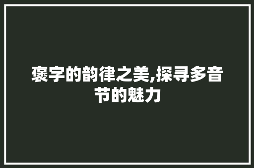 褒字的韵律之美,探寻多音节的魅力 褒字的韵律之美,探寻多音节的魅力 SEO关键词
