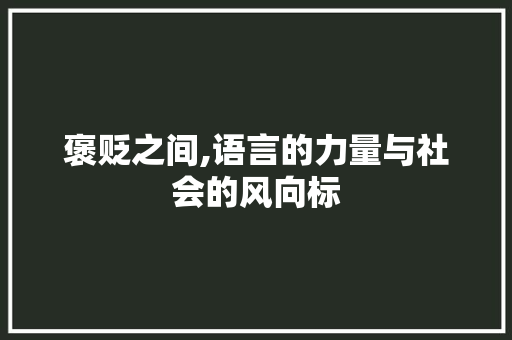 褒贬之间,语言的力量与社会的风向标