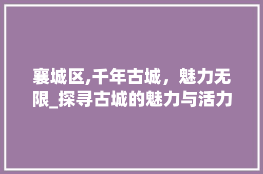 襄城区,千年古城，魅力无限_探寻古城的魅力与活力