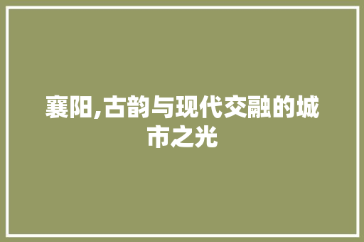 襄阳,古韵与现代交融的城市之光