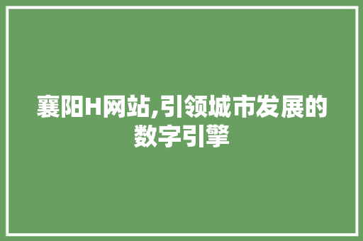 襄阳H网站,引领城市发展的数字引擎