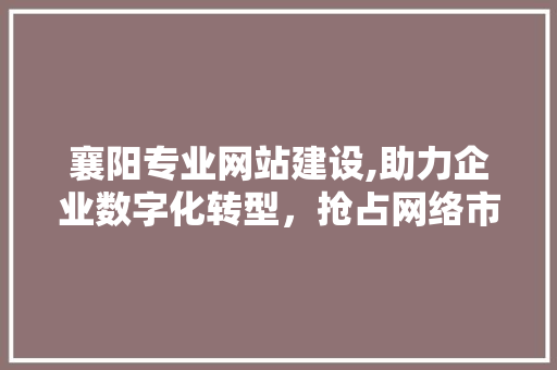 襄阳专业网站建设,助力企业数字化转型，抢占网络市场先机