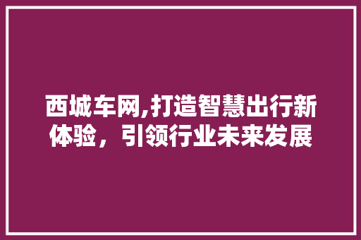 西城车网,打造智慧出行新体验，引领行业未来发展
