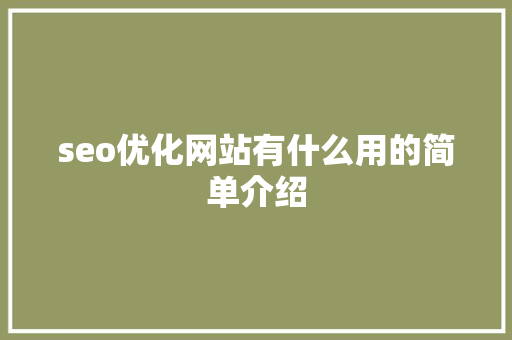 seo优化网站有什么用的简单介绍