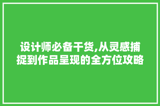 设计师必备干货,从灵感捕捉到作品呈现的全方位攻略 设计师必备干货,从灵感捕捉到作品呈现的全方位攻略 搜狗SEO