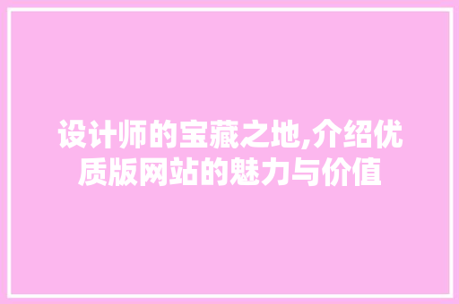 设计师的宝藏之地,介绍优质版网站的魅力与价值
