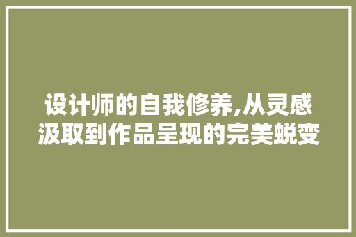设计师的自我修养,从灵感汲取到作品呈现的完美蜕变