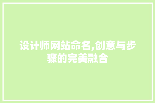设计师网站命名,创意与步骤的完美融合