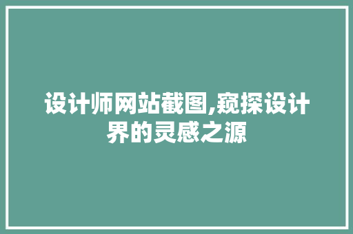 设计师网站截图,窥探设计界的灵感之源
