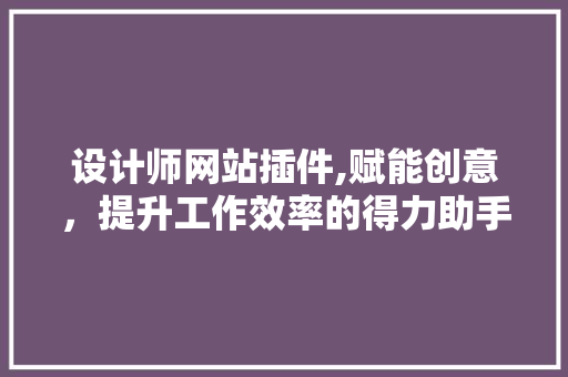 设计师网站插件,赋能创意，提升工作效率的得力助手