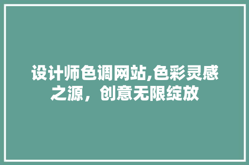 设计师色调网站,色彩灵感之源，创意无限绽放