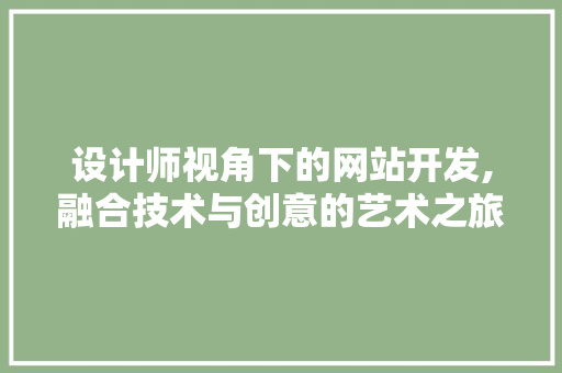设计师视角下的网站开发,融合技术与创意的艺术之旅