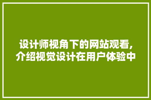 设计师视角下的网站观看,介绍视觉设计在用户体验中的关键作用
