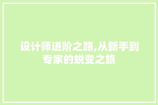 设计师进阶之路,从新手到专家的蜕变之旅