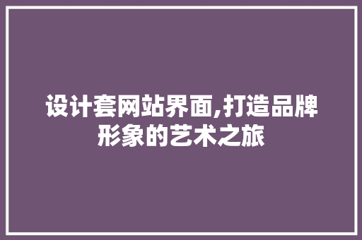 设计套网站界面,打造品牌形象的艺术之旅
