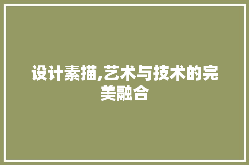 设计素描,艺术与技术的完美融合