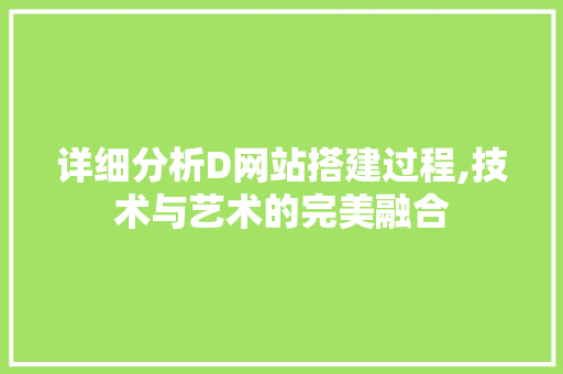 详细分析D网站搭建过程,技术与艺术的完美融合 详细分析D网站搭建过程,技术与艺术的完美融合 百度SEO