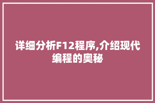 详细分析F12程序,介绍现代编程的奥秘 详细分析F12程序,介绍现代编程的奥秘 网站建设公司