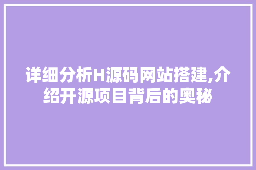 详细分析H源码网站搭建,介绍开源项目背后的奥秘 网站建设公司
