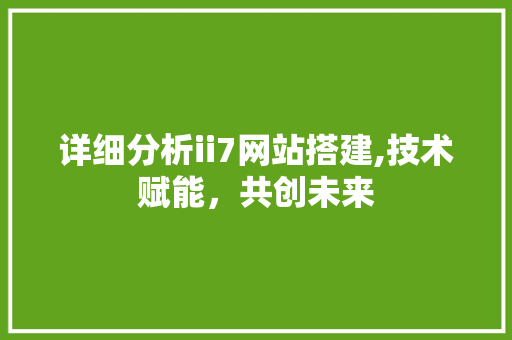 详细分析ii7网站搭建,技术赋能，共创未来 详细分析ii7网站搭建,技术赋能，共创未来 神马SEO