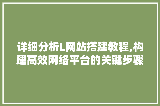 详细分析L网站搭建教程,构建高效网络平台的关键步骤与方法 详细分析L网站搭建教程,构建高效网络平台的关键步骤与方法 必应SEO